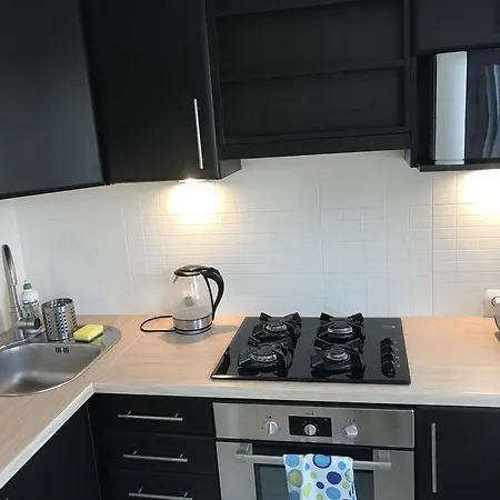 Widokowy Nad Jeziorem Lejlighed Olsztyn (Warmian-Masurian)